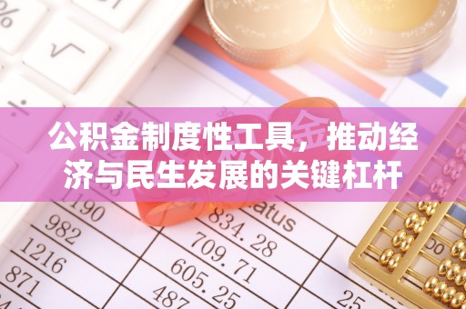麻城公积金制度性工具，推动经济与民生发展的关键杠杆