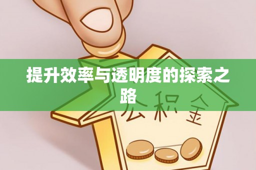 麻城提升效率与透明度的探索之路