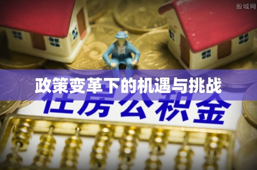 麻城政策变革下的机遇与挑战