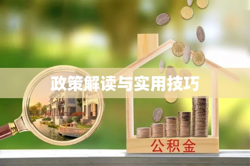 麻城政策解读与实用技巧