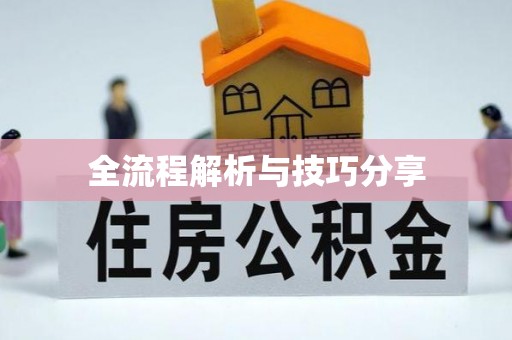 麻城全流程解析与技巧分享